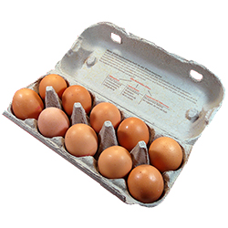 Farm Eggs